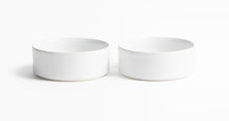 Set of 1 Pot for Lucky Brazilian Wood Plant for Living Room - Healthy Indoor Feng Shui Plant, Low Maintenance Air Purifying Decor