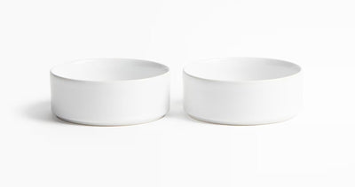 Set of 1 Pot for Lucky Brazilian Wood Plant for Living Room - Healthy Indoor Feng Shui Plant, Low Maintenance Air Purifying Decor