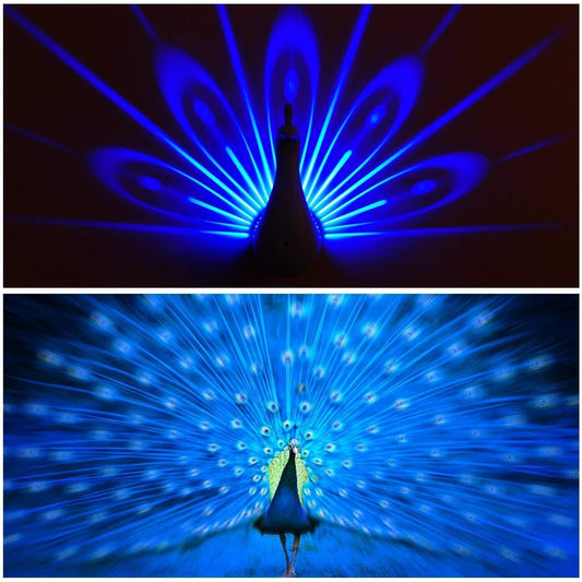 Peacock Night Light Projector – Multicolor LED Decorative Lamp for Kids’ Room & Home (Pack of 1)