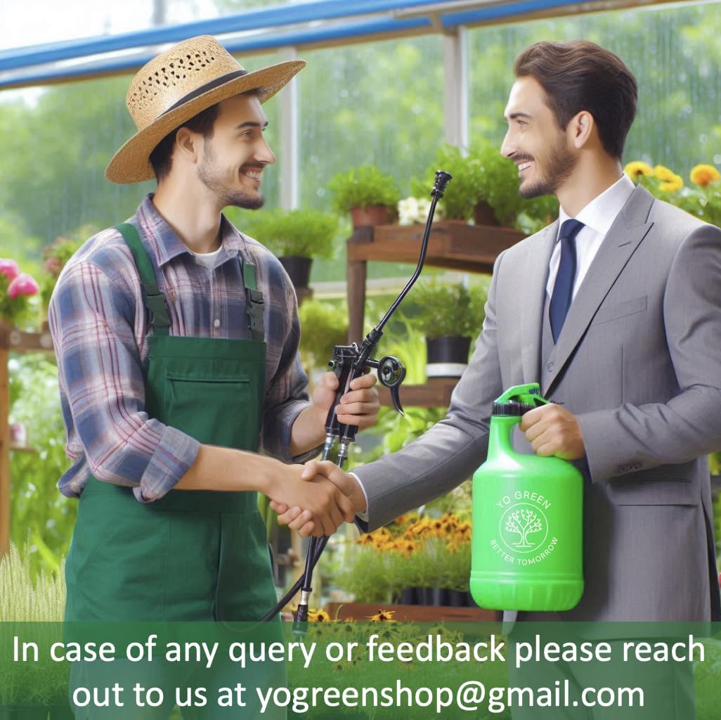 Set of 1 Pot for Lucky Brazilian Wood Plant for Living Room - Healthy Indoor Feng Shui Plant, Low Maintenance Air Purifying Decor