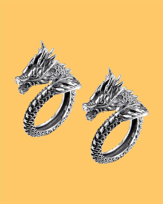 Silver Adjustable Dragon Rings – Multicolor Alloy, Free Size (Pack of 2)